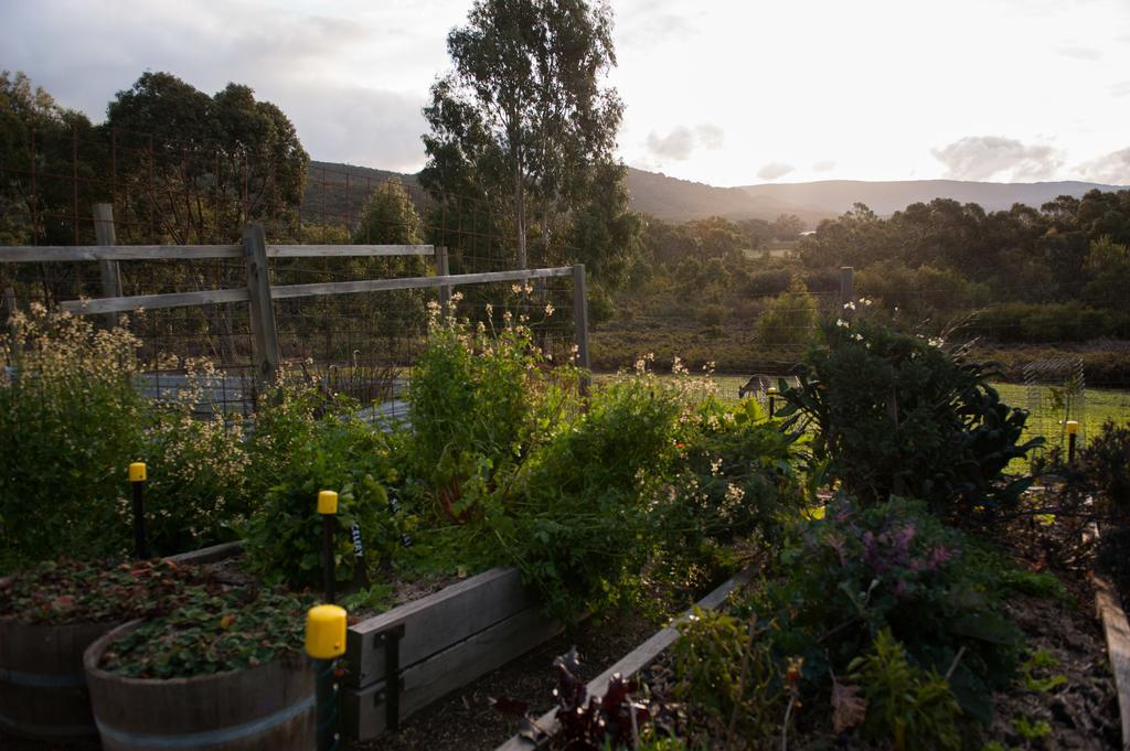 Boroka Downs Villa Halls Gap Kültér fotó