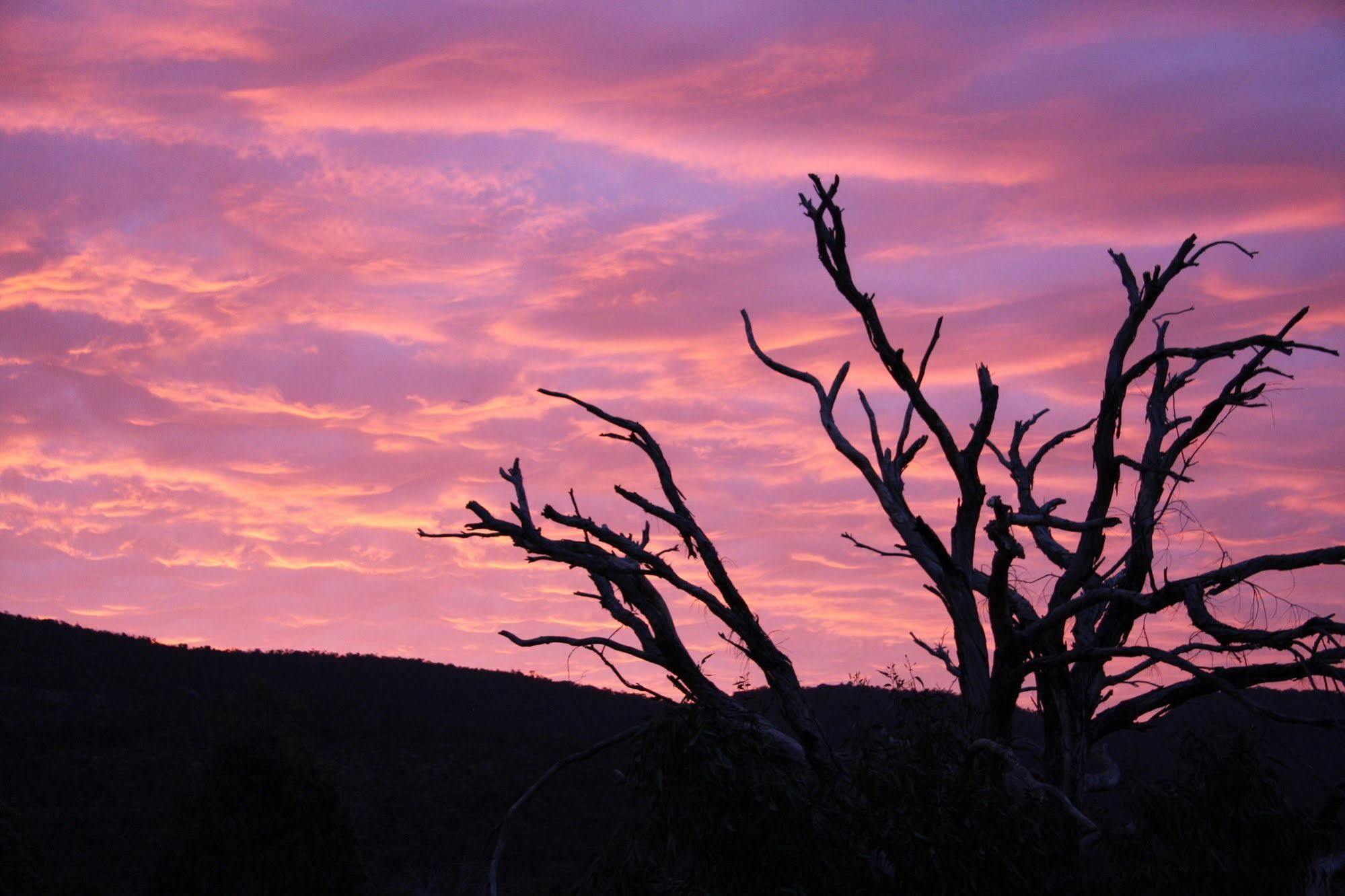 Boroka Downs Villa Halls Gap Kültér fotó