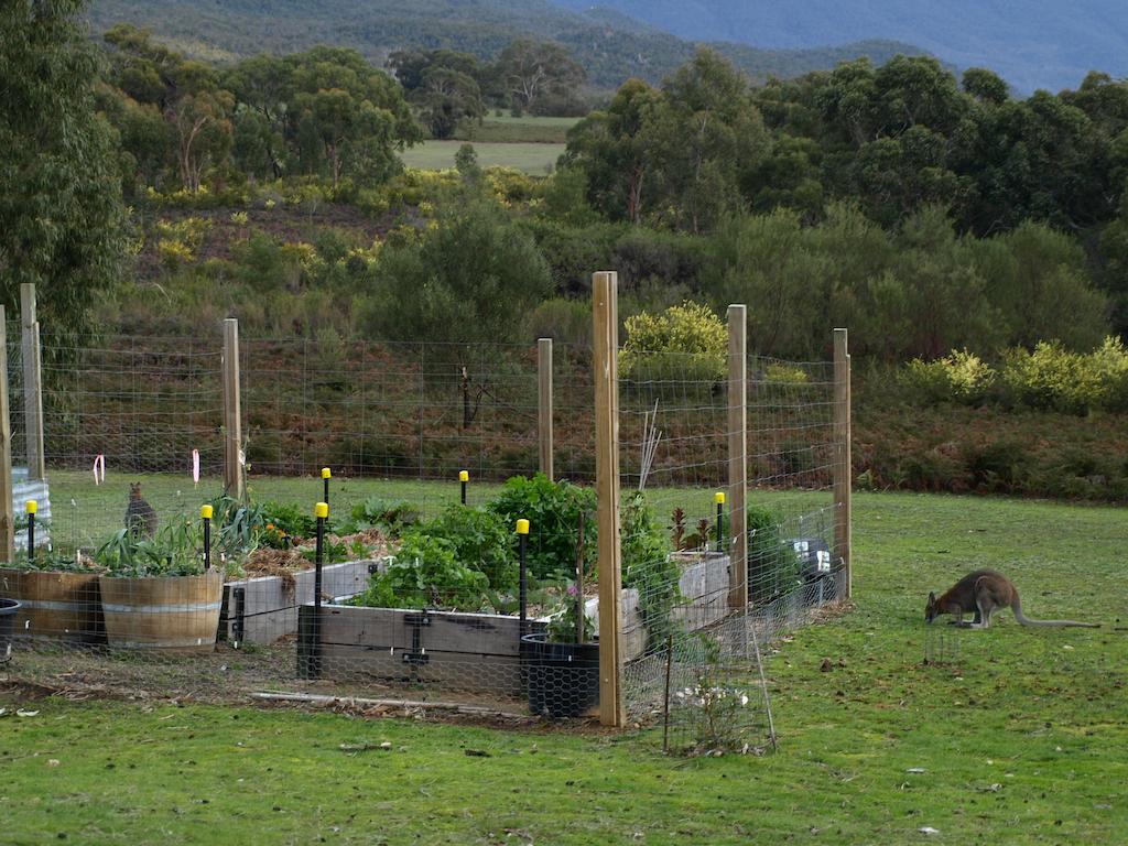 Boroka Downs Villa Halls Gap Kültér fotó